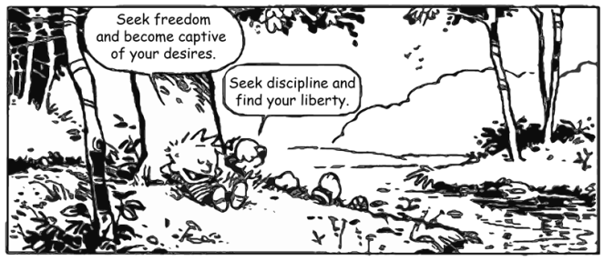calvin and hobbes discipline