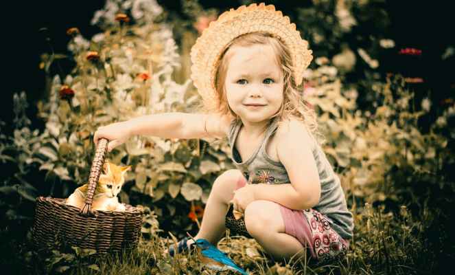 photo of girl playing with kitten